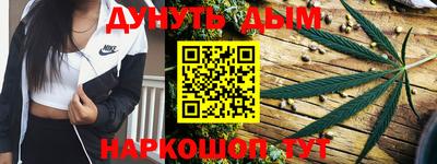 apvp Можга