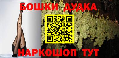 apvp Можга