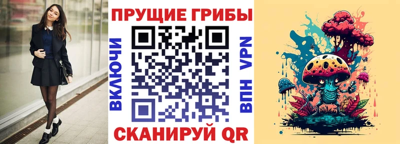 как найти закладки  Буйнакск  кракен ТОР  Псилоцибиновые грибы мицелий 