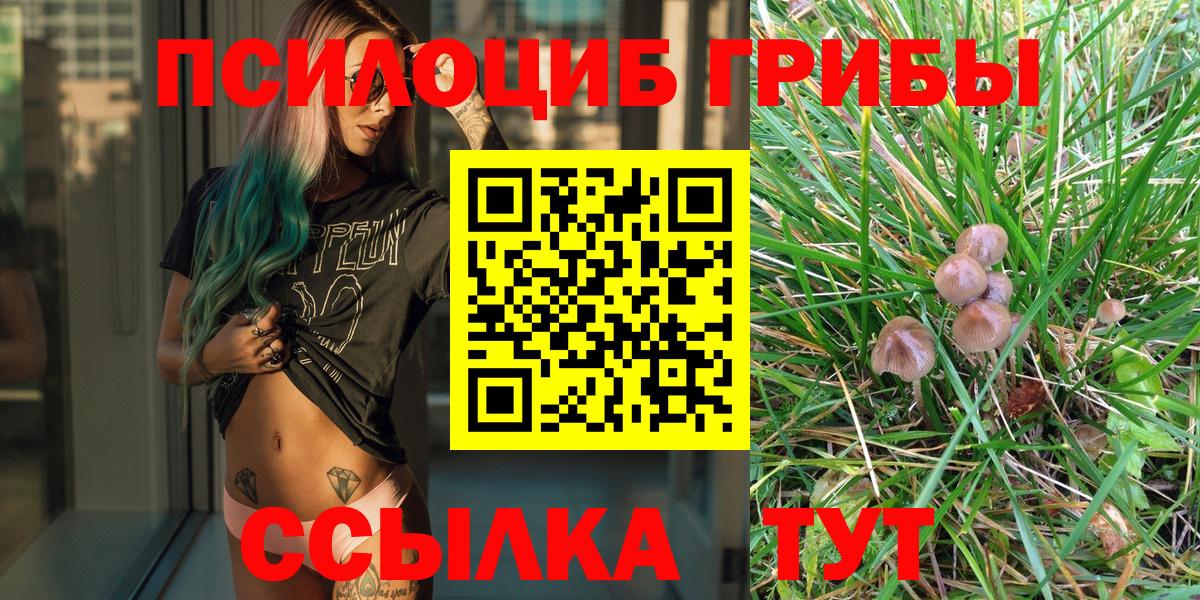Псилоцибиновые грибы прущие грибы  Вход с VPN  продажа наркотиков  Буйнакск 